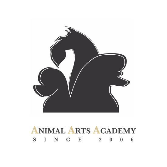 Animal Arts Academy with Dirty Dogs